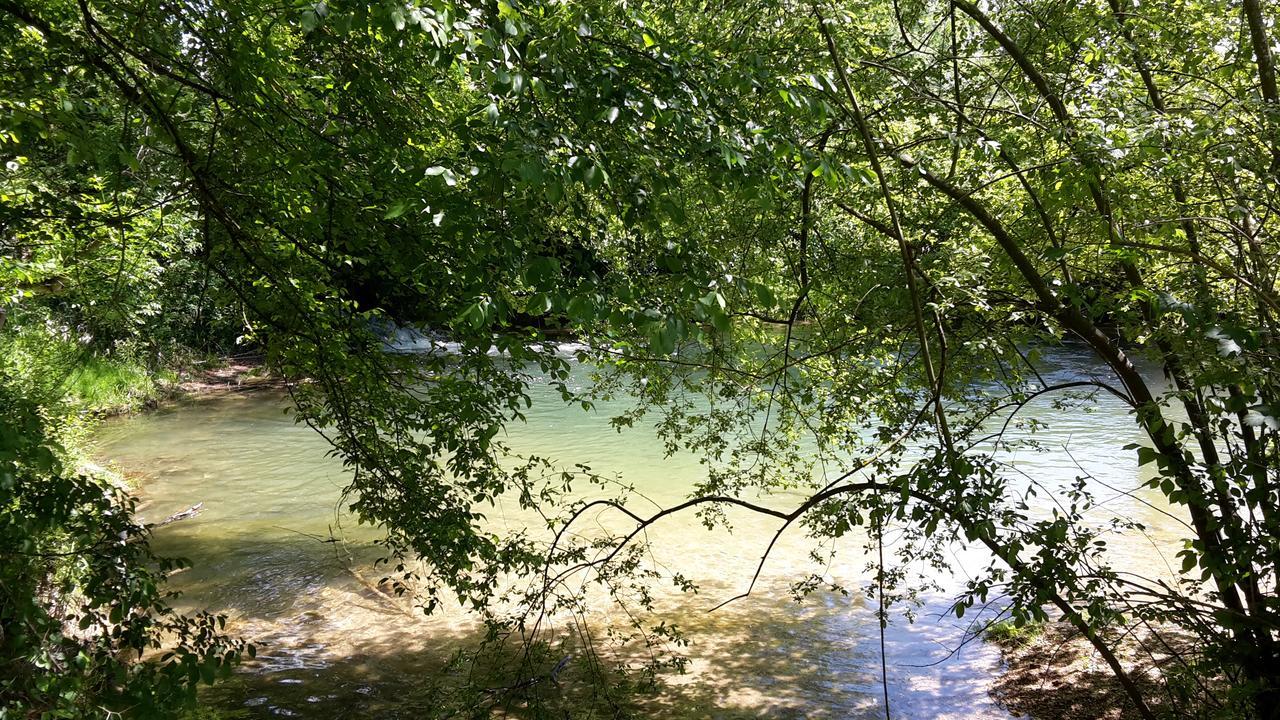 Moulin De Jouenery Et Spa Brassac  Exteriör bild